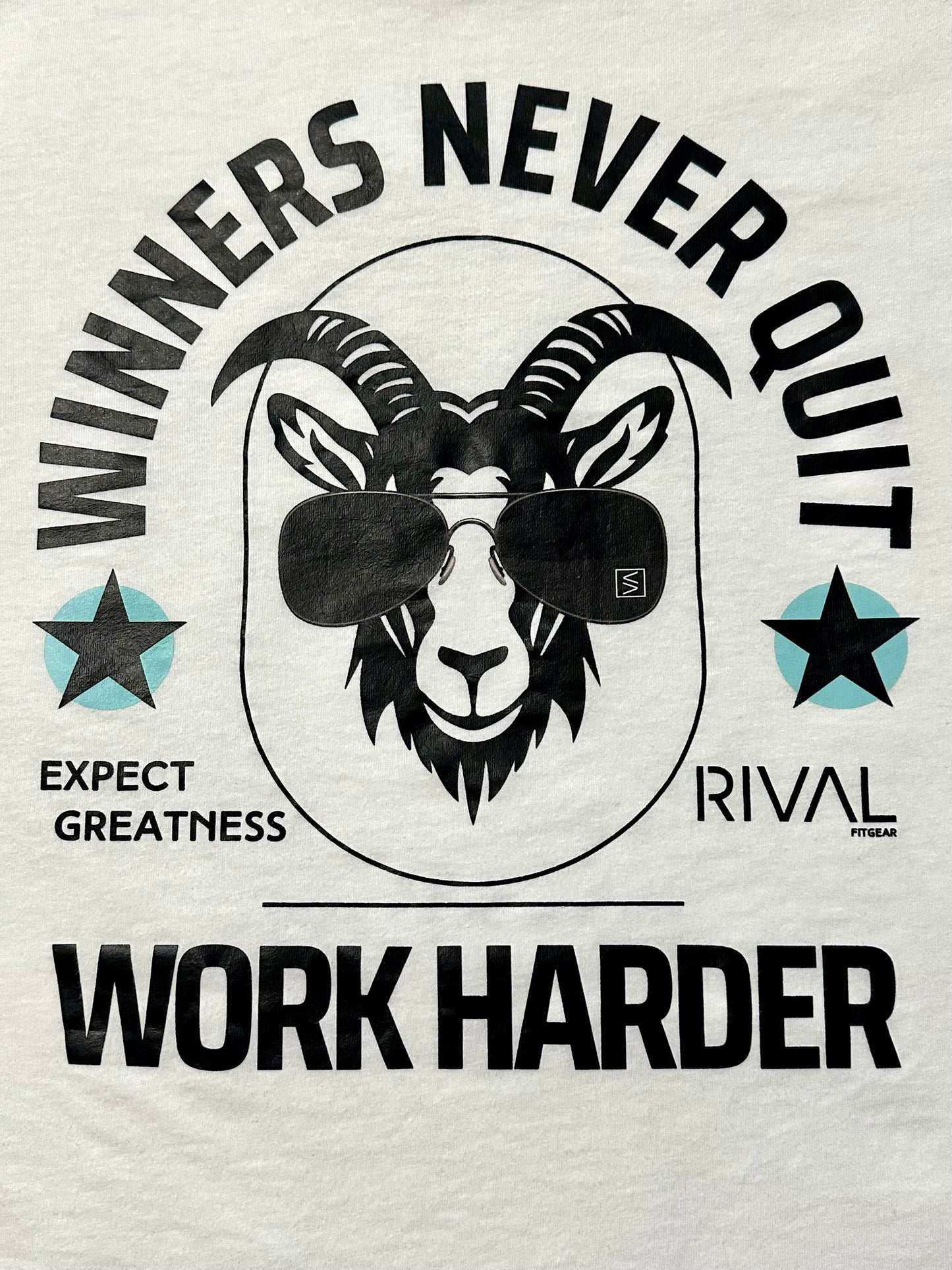 Motivational graphic with a goat wearing sunglasses and text on a light gray background