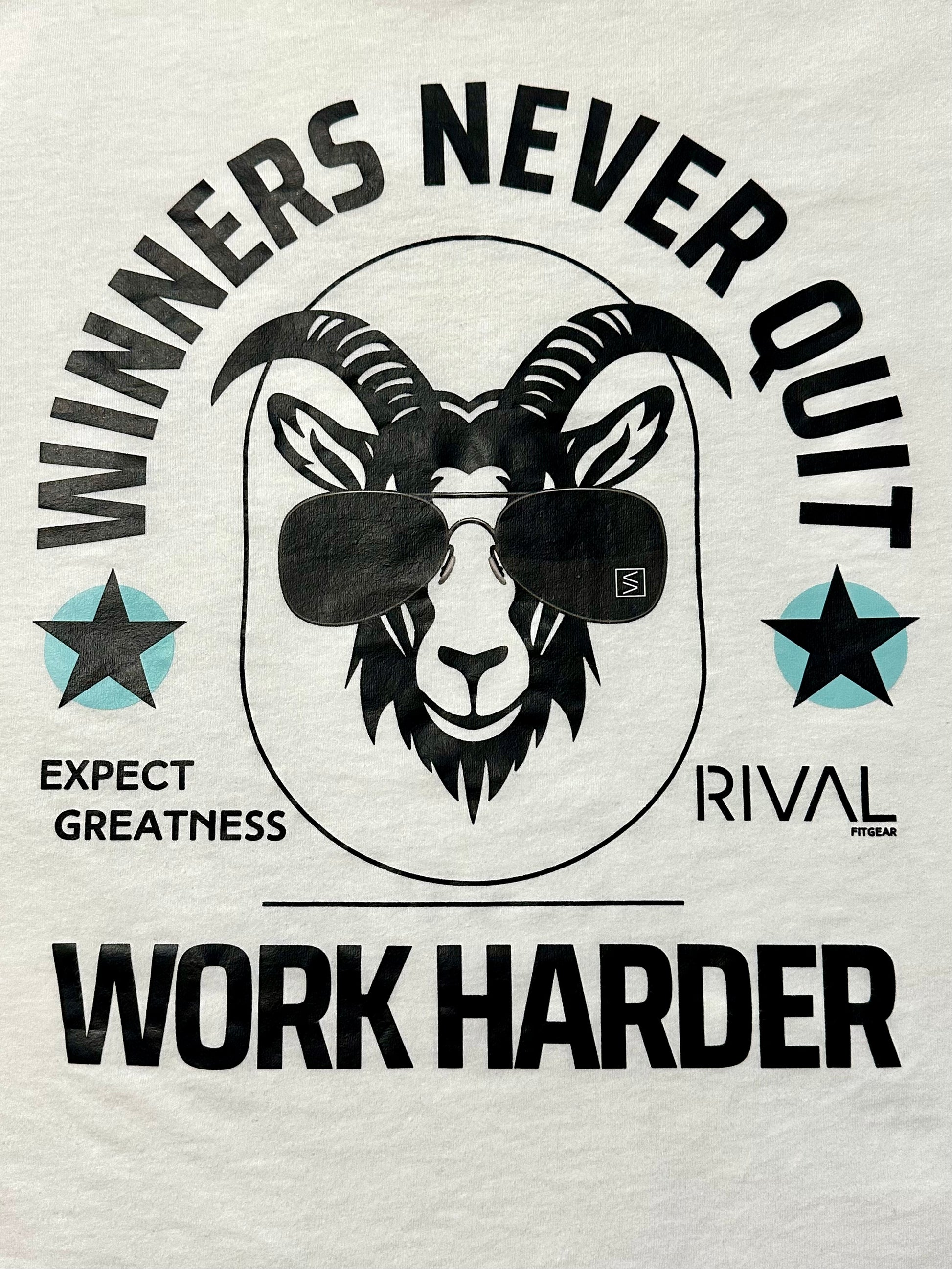 Motivational graphic with a goat wearing sunglasses and text on a light gray background